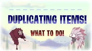 Duplicated Items - What to Do!  (Animal Jam)