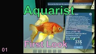 Aquarist, Building your own fish tanks!