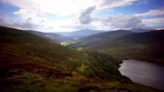 AmbiWood - Located in the Wicklow Mountains - Passive Windows