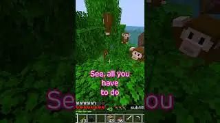 I added monkey's to Minecraft