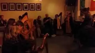Monaghan Jig * Harpfriends Leerdam 2014