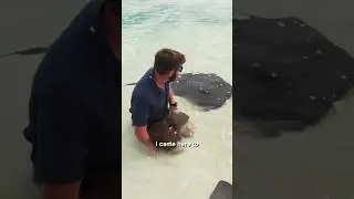 Stingrays Are Friendly!