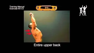 Isokinator Training - M5D exercise for toning entire upper back muscles