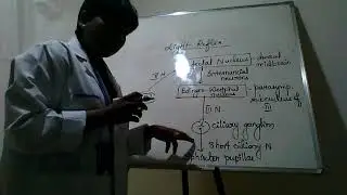 Dr.Rajarathna's Ophthalmology Video - Neuro-ophthalmology - Pupillary light refex