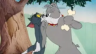 TOM VS SPIKE FUN
