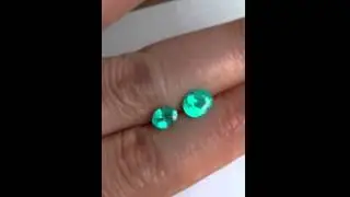Cecile Raley Designs