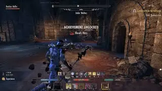 ESO - Bloody Mess achievement (solo w/ companion, normal difficulty)