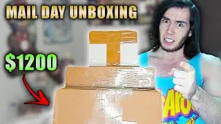 SEALED VGA PS1 Game for $1200!? Factory Sealed Video Game Mail Day Unboxing!