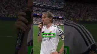 Czemu vini się ciągle śmieje??! #shorts