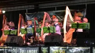 Brandywine Harp Orchestra 
