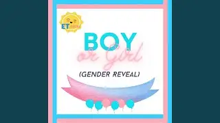 Boy or Girl (Gender Reveal)