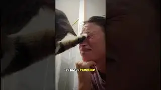 Eles Sabem Quando Você Está Triste... 🥺❤️