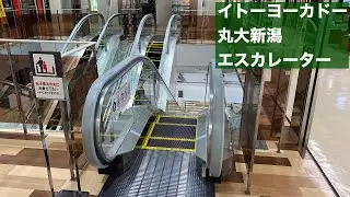 イトーヨーカドー丸大新潟 下りエスカレーター【HITACHI】