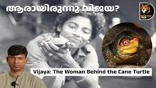 ഇന്ത്യയുടെ &lsquo;turtle girl &rsquo; വിജയയും  അവർ കണ്ടെത്തിയ ചൂരലാമയും; #davidrajutalks #wildlife