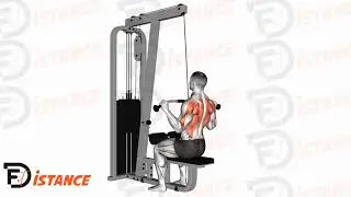 Tirage vertical &agrave; la barre prise pronation