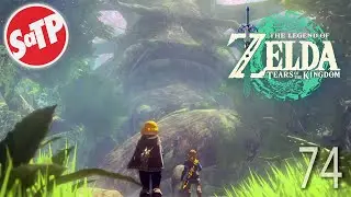 TEARS OF THE KINGDOM | Part 74 - The Deku Tree... FINALLY! - STUFFandTHINGS Plays...