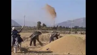 Su nombre es Cocachacra