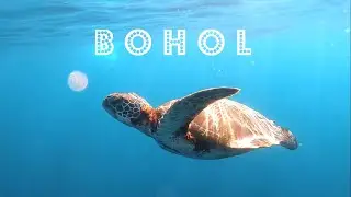 Bohol | Tropical Love - Nadro & Timmy