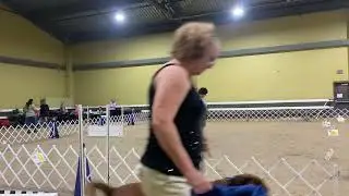 Rally Advanced @ Mid Kentucky Kennel Club @ Bluegrass Classic Dog Shows