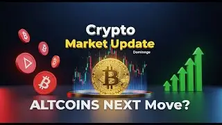 Bitcoin Update Today | Bitcoin Dominance Explained | Altcoins Next Move? (Full Market Analysis)