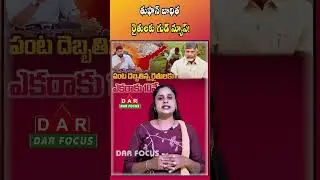AP Govt Announces ₹10,000 Per Acre Relief for Cyclone-Affected Farmers | Latest updates | DAR FOCUS