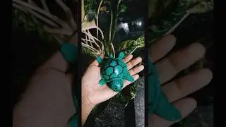 Diy cute turtle art#youtubeshorts #art #trending #trendingshorts #beautiful #cute #artist #diy