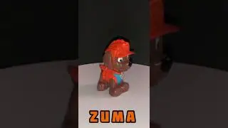 Zuma 🐾