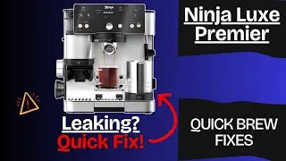 Ninja Luxe Premier Leaking During Brewing? Fix It Fast