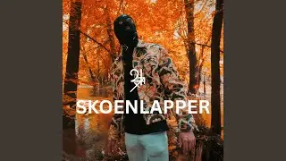 Skoenlapper