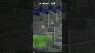 How To Sell Things On The DonutSMP