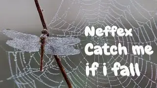 Neffex - Catch me if i fall (3D Lyrics)#music #neffex