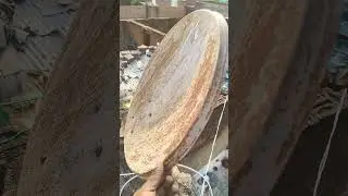 DTH SETTING INSTALLATION DD FREE DISH ANTENNA #dth #youtube #dish