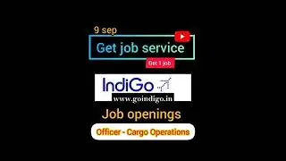 IndiGo airline job openings|Airline job|Tourism jobs #indigojobs #airlinejob #dailyvacancy #ytsshort