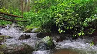Healing River Sounds &ndash; 10 Hours of Calming ASMR for Focus & Mind Relief