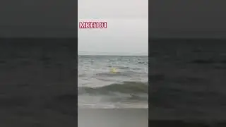 Great White Shark Sighting @ Bournemouth?