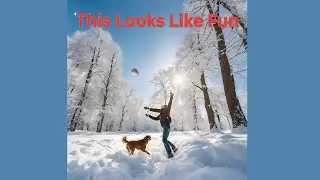 Top 5 Winter Activities to Enjoy with Your Dog