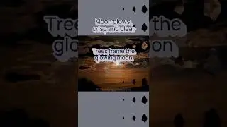 Moonlit winter nights