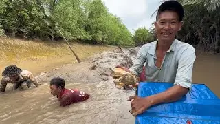 Con Cua Lột quá ngon rồi Anh Tư ơi . Săn bắt ở Cửa Biển Trần Đề VXĐ 