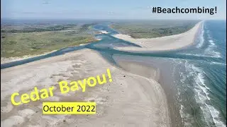 #Beachcombing - Cedar Bayou October 2022