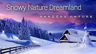 Snowfall | Beautiful Nature whatsapp status | Snowfall whatsapp status