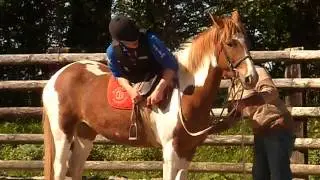 SAM 0837
