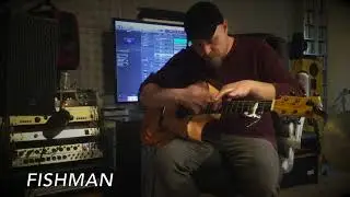 Acoustic Pickup comparison - Fishman Rare Earth Blend, K&K Pure Mini