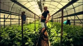 Hardwud Classiks - Unverl&uuml;rbar
