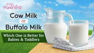 Cow Milk Vs Buffalo Milk - Which Is Better for Babies and Toddlers?