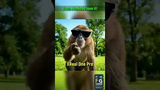 Monkey Stole My XREAL One Pro AR Glasses&hellip; #shotrs #viral #monkey