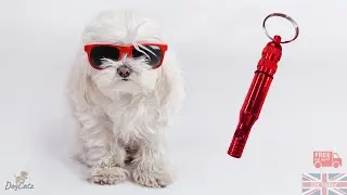 Dog Puppy Whistle, For Camping Hiking, SOS Emergency Safety, Survival, Very Loud