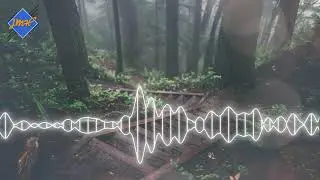 No copyright chillstep mix 1 hour
