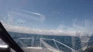 Just One More in some weather