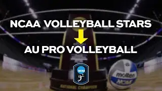 NCAA volleyball stars playing in the 2025 AU Pro Volleyball Championship
