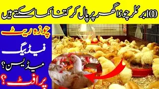 100 broiler chicken farming at home_ feasibility report@ramzankhanofficial6162 
